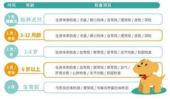 鱼缸水质硬化应对策略:宠物健康必备指南