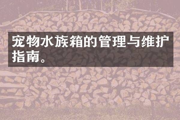 宠物水族箱的管理与维护指南。