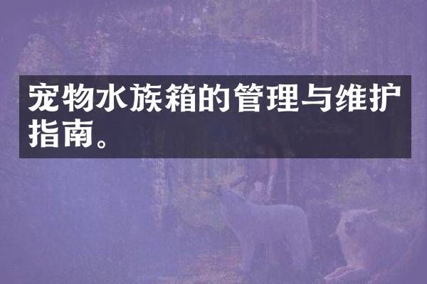 宠物水族箱的管理与维护指南。