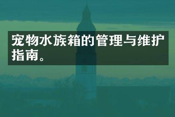 宠物水族箱的管理与维护指南。
