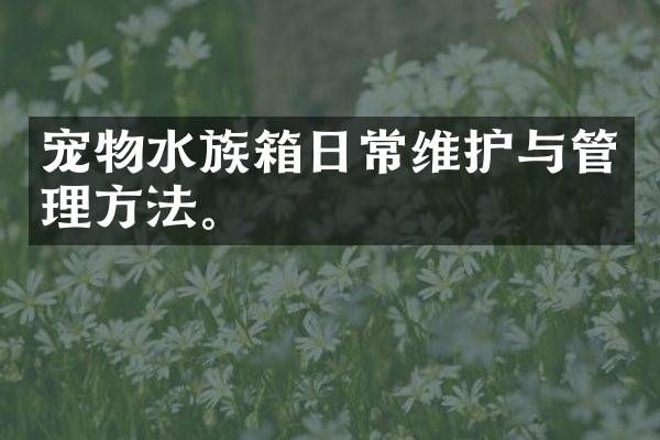 宠物水族箱日常维护与管理方法。