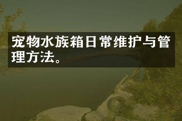 宠物水族箱日常维护与管理方法。