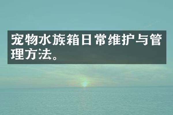 宠物水族箱日常维护与管理方法。