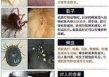 北京昌平天通苑,沙河,清河,24小时宠物医生上门,疫苗