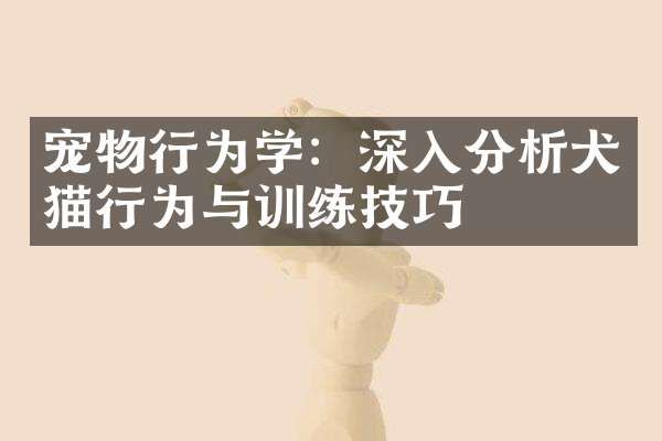 宠物行为学：深入分析犬猫行为与训练技巧