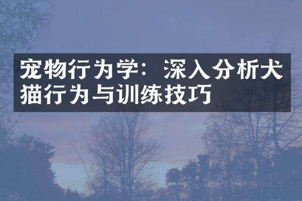 宠物行为学：深入分析犬猫行为与训练技巧