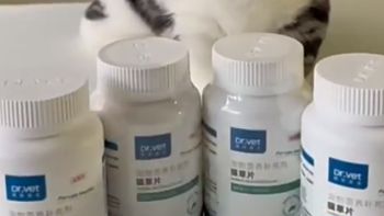 唯特医生猫草片猫咪化毛球片化毛膏猫咪专用维特祛除毛球营养温和