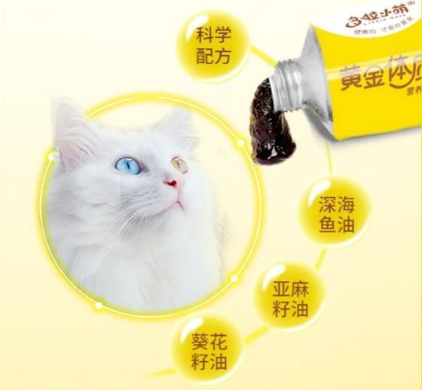 宠物猫营养膏推荐，宠物营养膏多少钱