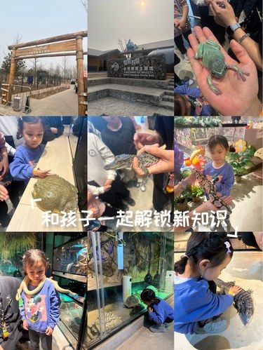 小小探险家动物园记