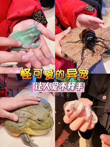 尖叫！我家娃在“惊蛰时刻”被小萌化了