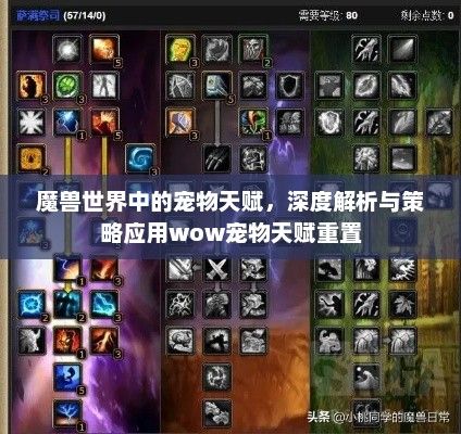 魔兽世界中的宠物天赋，深度解析与策略应用wow宠物天赋重置