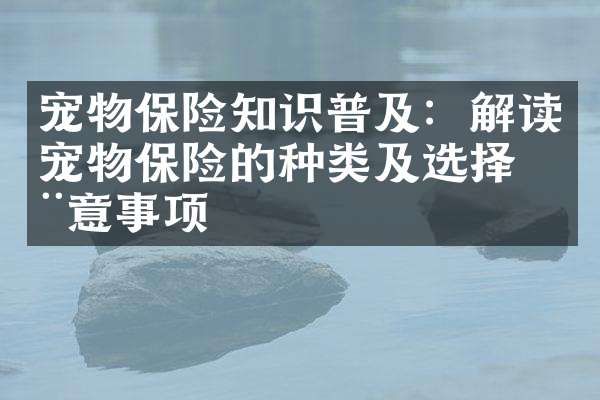 宠物保险知识普及：解读宠物保险的种类及选择注意事项