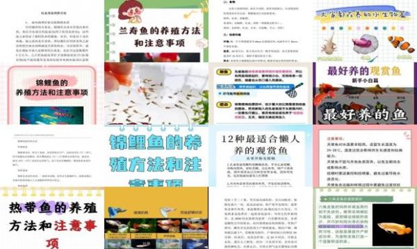 鱼怎么养殖方法