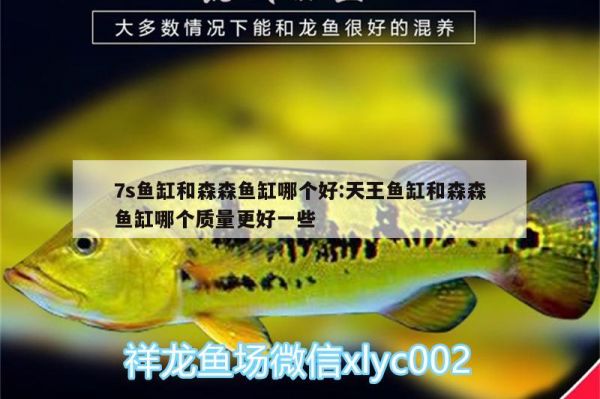 7s鱼缸和森森鱼缸哪个好:天王鱼缸和森森鱼缸哪个质量更好一些 观赏鱼市场 第1张