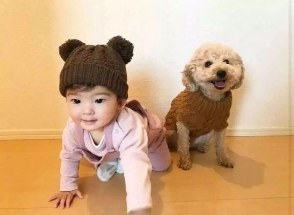 萌宠乐园亲子课程视频，让孩子们与宠物一起快乐成长