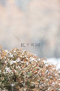室外亲子活动摄影照片冬天冰雪季节室外图片