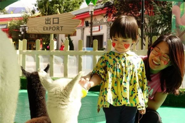 南昌萌宠乐园亲子游，与爱宠共度美好时光