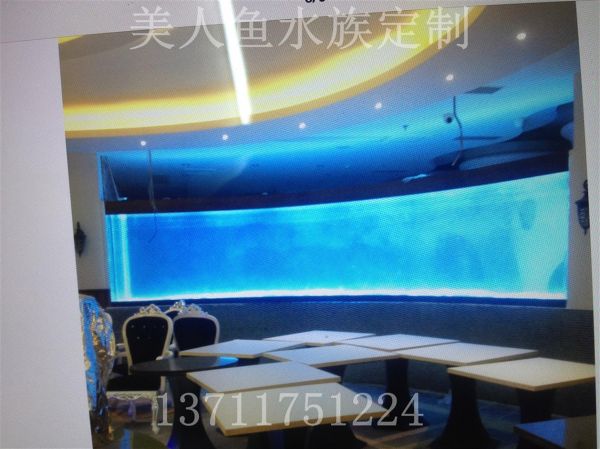 天河生态鱼缸厂家