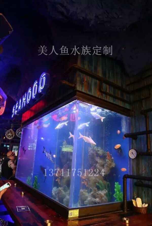 荔湾生态鱼缸定做