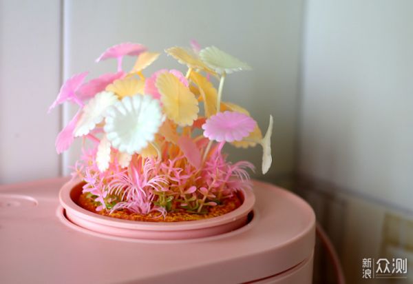生态设计花鱼共生，画法几何两栖鱼缸养鱼轻松_新浪众测
