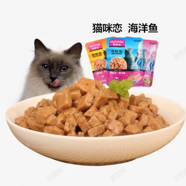猫咪零食探秘：健康与口感解析