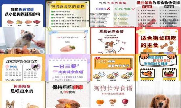 狗狗健康饮食菜谱 - 狗狗健康饮食-第1张图片-漂亮宠物百科网