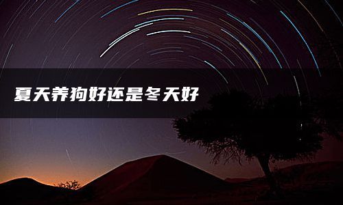 夏天养狗好还是冬天好