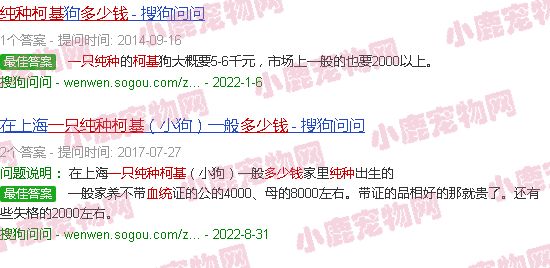 柯基多少钱一只 纯种 血统