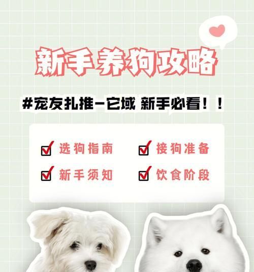 夏季养狗狗注意事项（让你的宠物健康度过夏天）