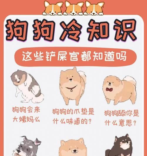 狗狗夏季最易患的疾病及预防措施（宠物狗夏季容易患上的常见疾病，让我们来了解一下如何预防吧！）
