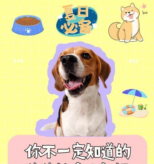 狗狗夏季最易患的疾病及预防措施（宠物狗夏季容易患上的常见疾病，让我们来了解一下如何预防吧！）