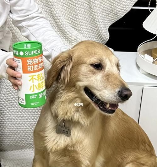 如何为狗狗选择适合的夏季饮食（解决狗狗饮食问题）