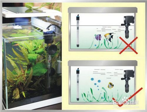 鱼缸宠物加热垫怎么使用视频：鱼缸宠物加热垫使用方法 鱼缸百科 第1张