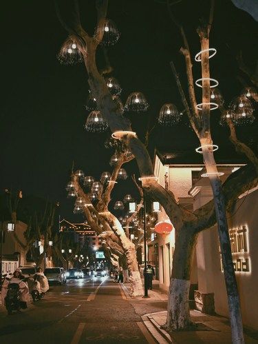 苏州美景｜五卅路水母灯夜游浪漫值爆表的梦幻