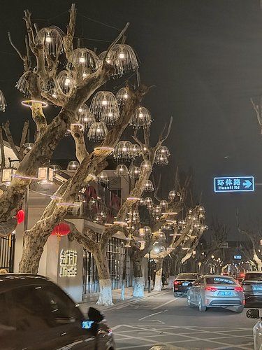 你永远可以相信苏州审美，水母灯氛围拉满[爱心]