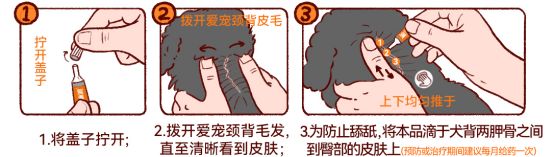 猫咪驱虫怎么做？