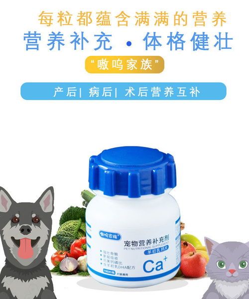 宠物补钙需谨慎，羊奶钙片不宜过量