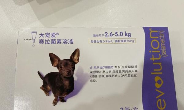 狗狗驱虫清理方法汇总（体内体外驱虫，有效保护宠物健康）