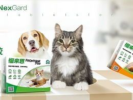 宠物猫咪驱虫指南，轻松操作！