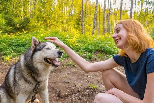 宠物驱虫，爱犬健康守护者