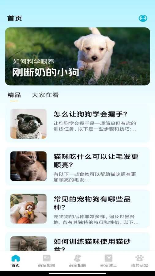 欢乐萌宠