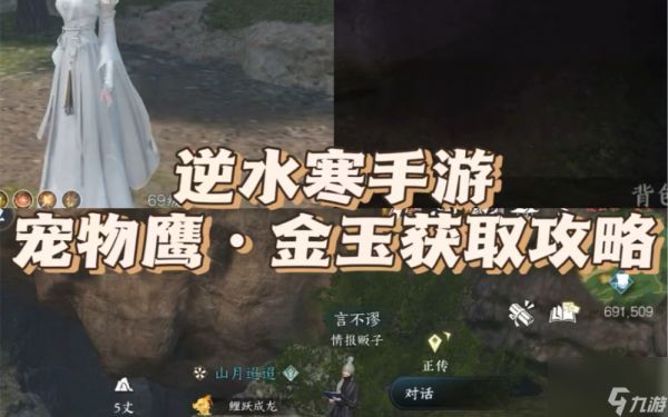 逆水寒手游鹰金玉怎么获得,逆水寒手游宠物鹰金玉获得方法