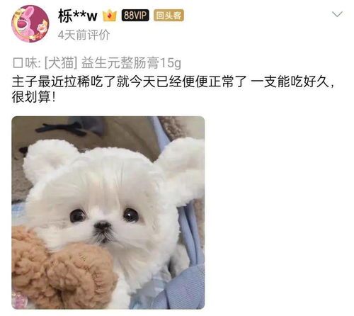 宠物健康：4月龄犬便便频率指南