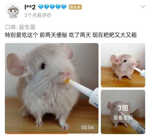 宠物健康：4月龄犬便便频率指南