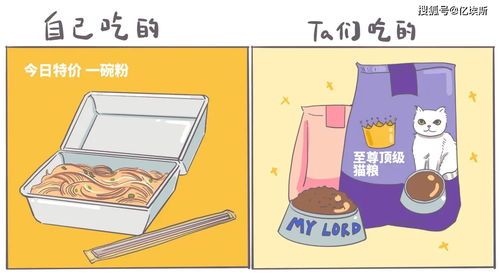 宠物尿床怎么办？预防与清洁技巧！