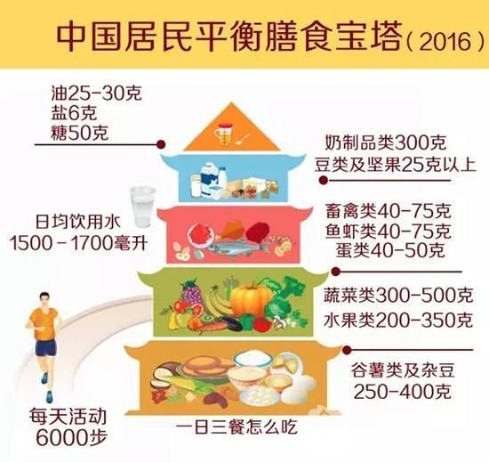 宠物肾脏健康，预防肾病从饮食做起。