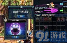 DNF宠物封印胶囊使用方法详解
