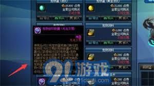 DNF宠物封印胶囊使用方法详解