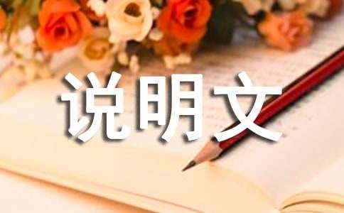 动物说明文作文