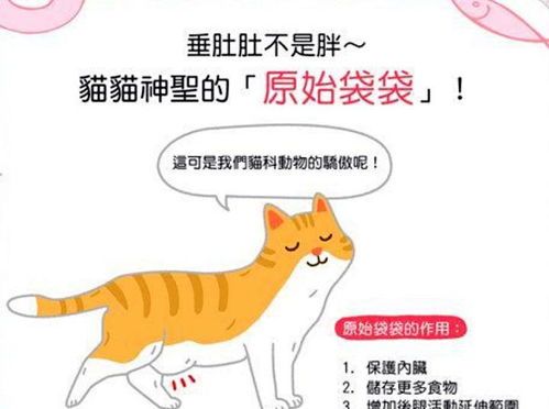 宠物胃肠道健康探究与调养
